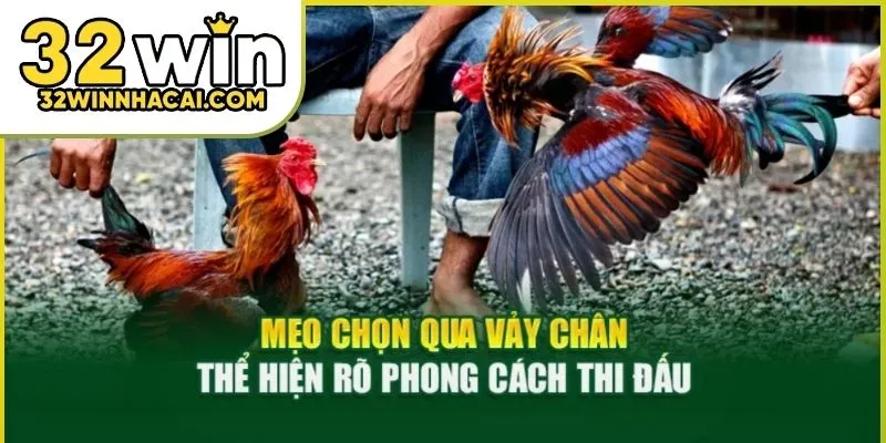 cach-xem-tuong-ga-02