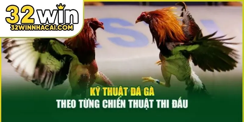 da-ga-cua-dao-03