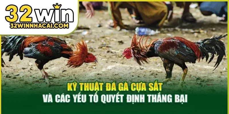 da-ga-cua-dao